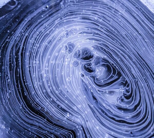 Native Porcine Prolidase: Bridging the Gap between Physiology and Industry