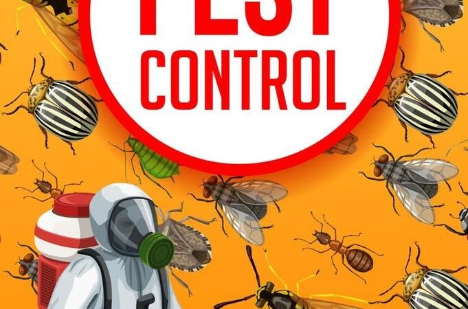 Keeping Homes Safe: A Complete Guide to DuPage County Pest Control