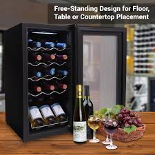 Electric Wine Chiller vs. Wine Fridge: Which One Is Better for Your Home1?