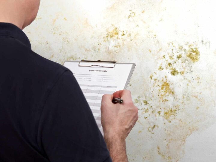 Mold Inspection Atlanta