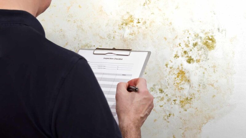 Mold Inspection Atlanta