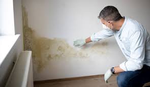Mold Inspection Atlanta 2 images 3