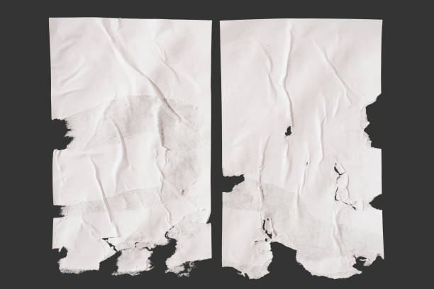 How to Handle Water-Damaged Documents and Junk Removal in Houston