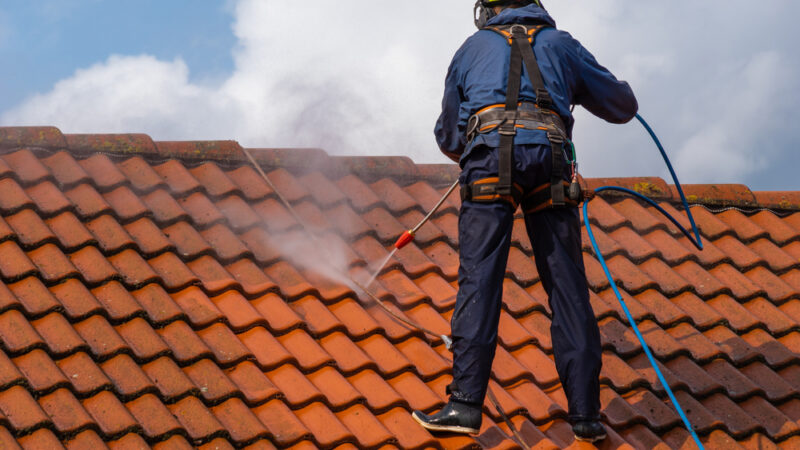 The Importance of Professional Roof Cleaning in Fife