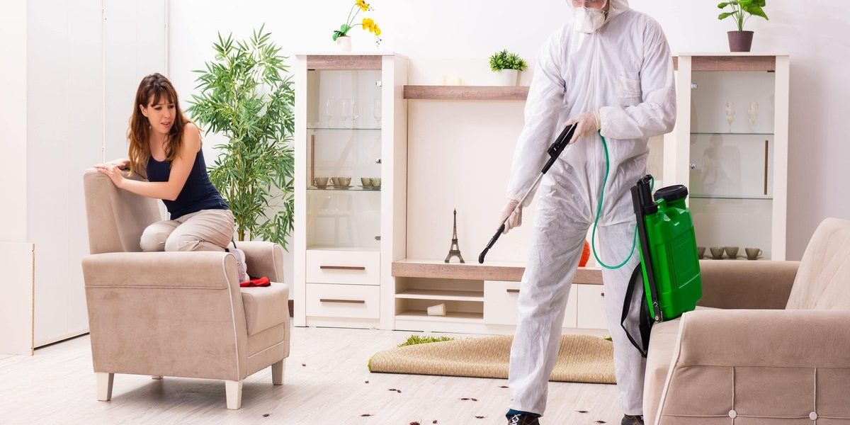 Residential Pest Control Strongsville