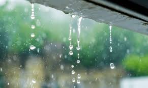 How Long Does the Water Remediation Process Take?