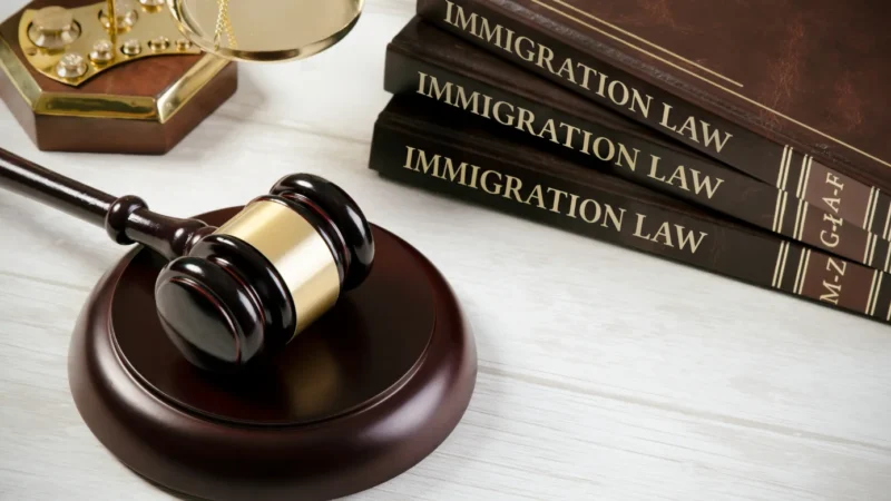 Why Should Students Seek Help From A Law Firm For Visas?