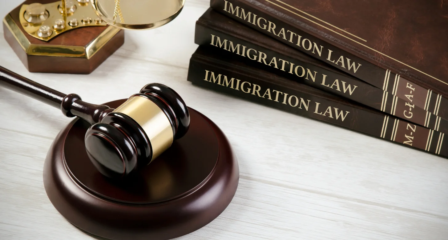Why Should Students Seek Help From A Law Firm For Visas?