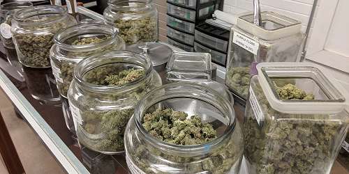 Why Visiting a Cannabis Dispensary Can Be an Experience, Not Just a Purchase