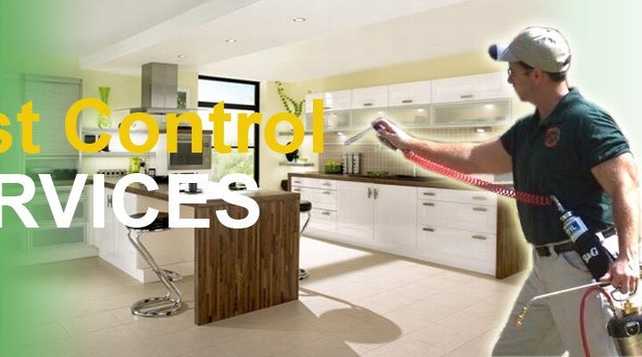 Pesticide License NY: How to Pass Smoothly and Avoid Delays