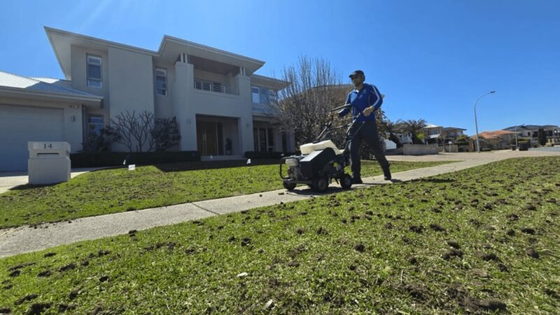 How Does Lawn Core Aeration Improve Soil Health?