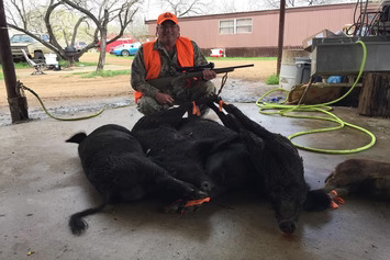 Hog Hunting Near Dallas, Texas: Tips, Terrain, and Tactical Insights