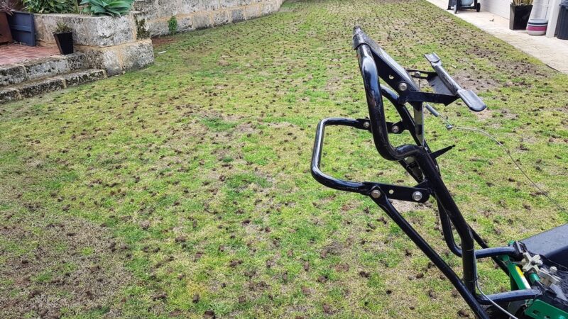 Can Professional Lawn Service Save You Time and Effort?