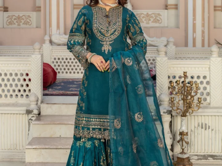Pakistani Ready to Wear – Modern Styles Ready for You