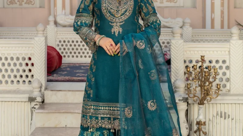 Pakistani Ready to Wear – Modern Styles Ready for You