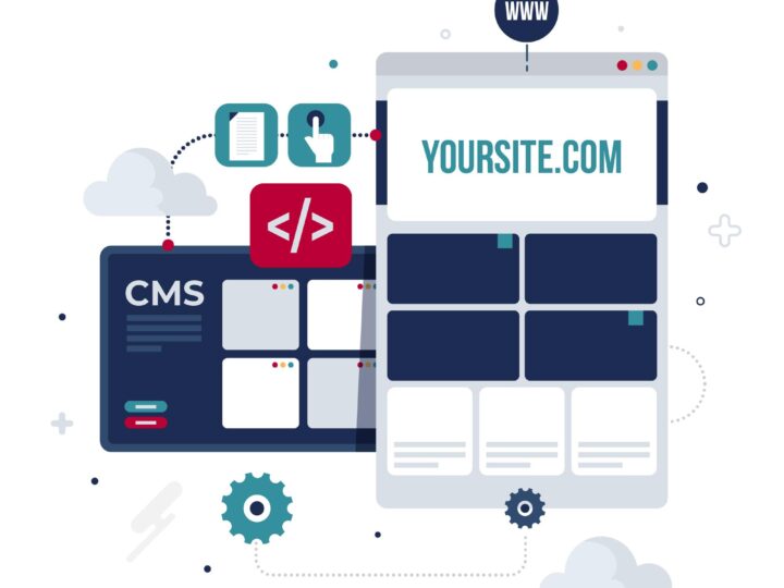 Custom Web Portal Software Development | Dignizant