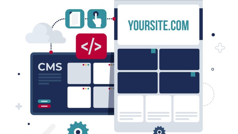 Custom Web Portal Software Development | Dignizant