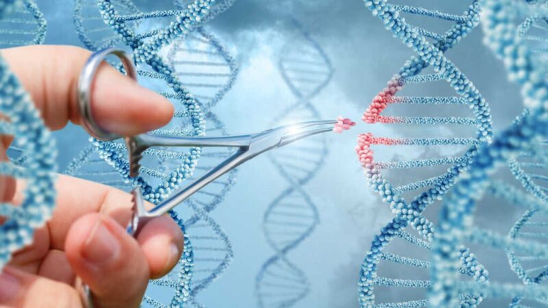 Can CRISPR Cells Be Used to Treat Genetic Disorders?