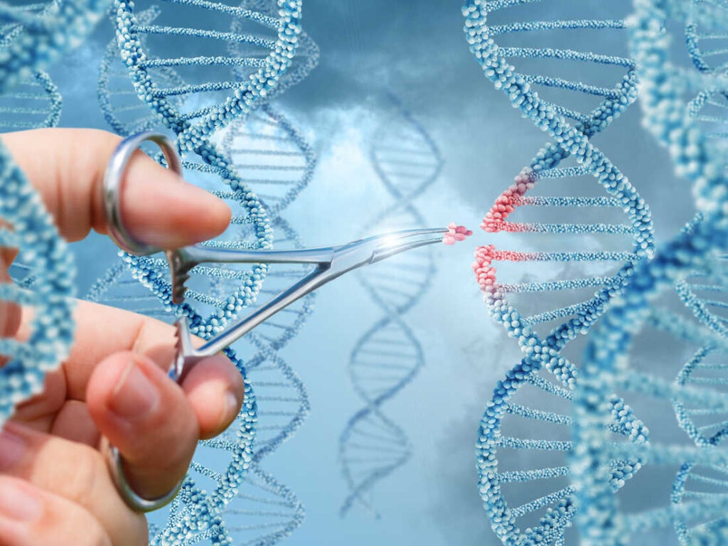 Can CRISPR Cells Be Used to Treat Genetic Disorders?