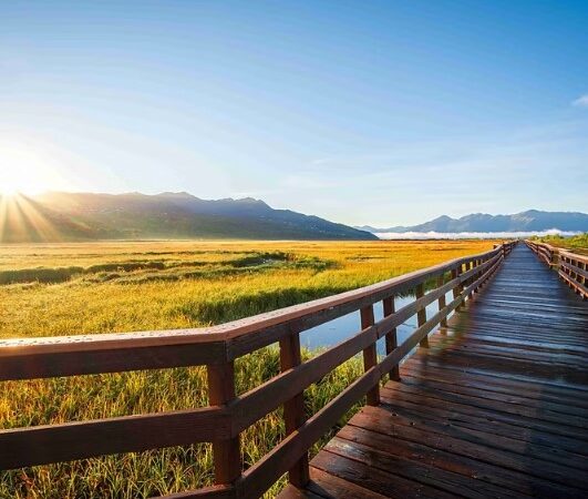 Unforgettable Day Tours in Anchorage for Every Kind of Traveler