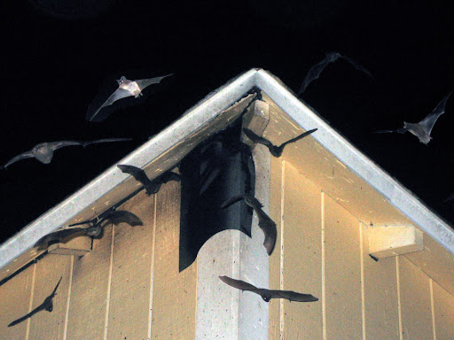 Attic Restoration and What Homeowners Insurance Covers