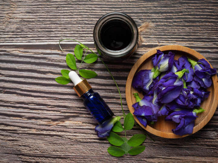 How to Make Blue Lotus Oil for Relaxation, Healing, and Meditation