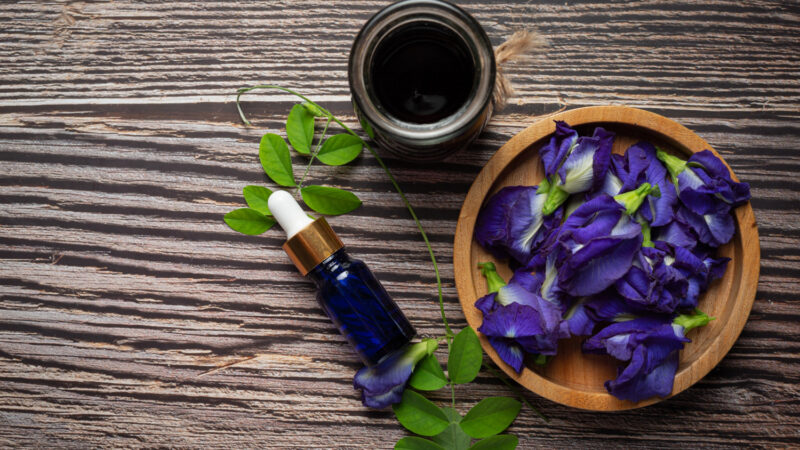 How to Make Blue Lotus Oil for Relaxation, Healing, and Meditation