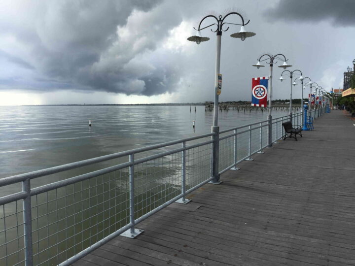 What Sets the Best Fence Companies Apart From the Rest