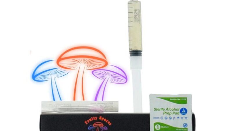 Mastering the Harvest: Tips and Tricks for a Successful Hillbilly Pumpkin Mushroom Yield