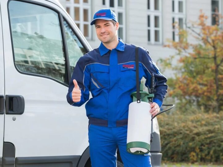 Why Is Professional Pest Control Important in Langley BC?