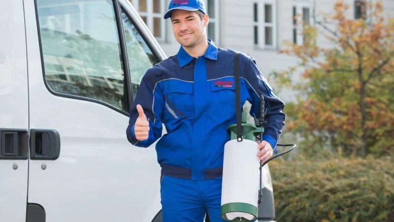 Why Is Professional Pest Control Important in Langley BC?