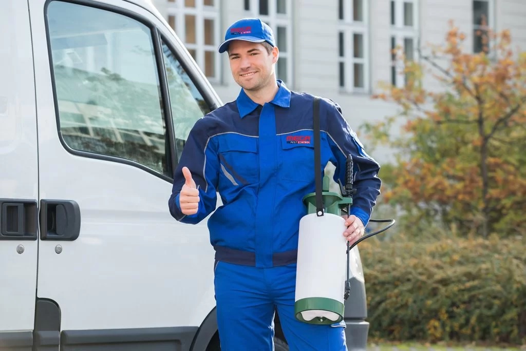 Why Is Professional Pest Control Important in Langley BC?