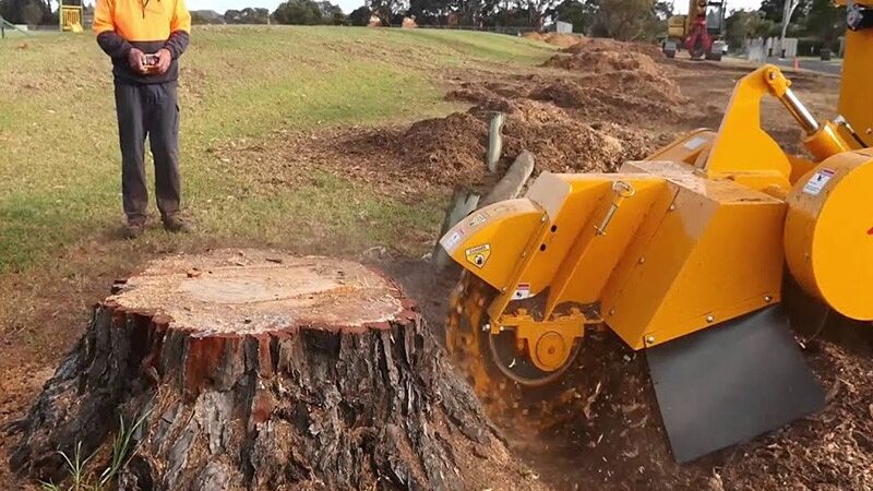 Which Season Is Best for Stump Grinding?