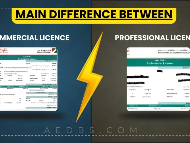 Key Difference Between Commercial and Professional Licenses in Dubai