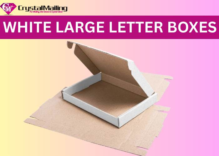 C4 Large Letter Boxes – Sturdy White Letter & Mailing Boxes