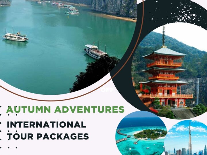 Autumn Adventures: Top 5 International Trips to Book in November