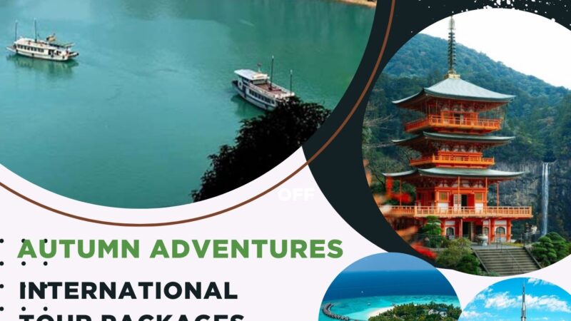 Autumn Adventures: Top 5 International Trips to Book in November