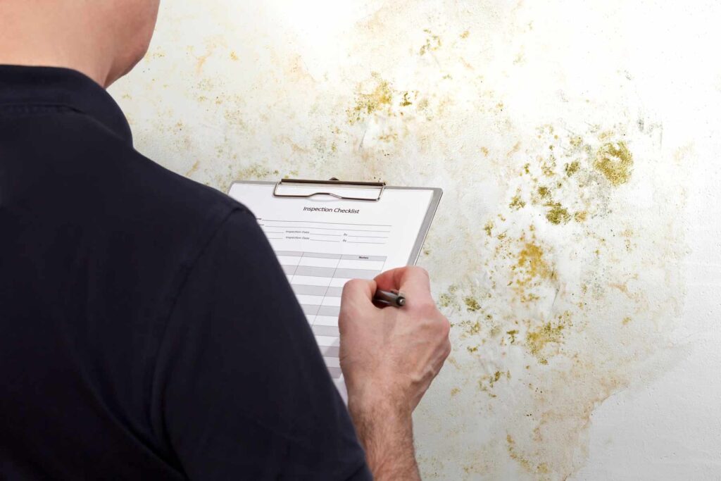homeguide mold inspector examining wall with water damage