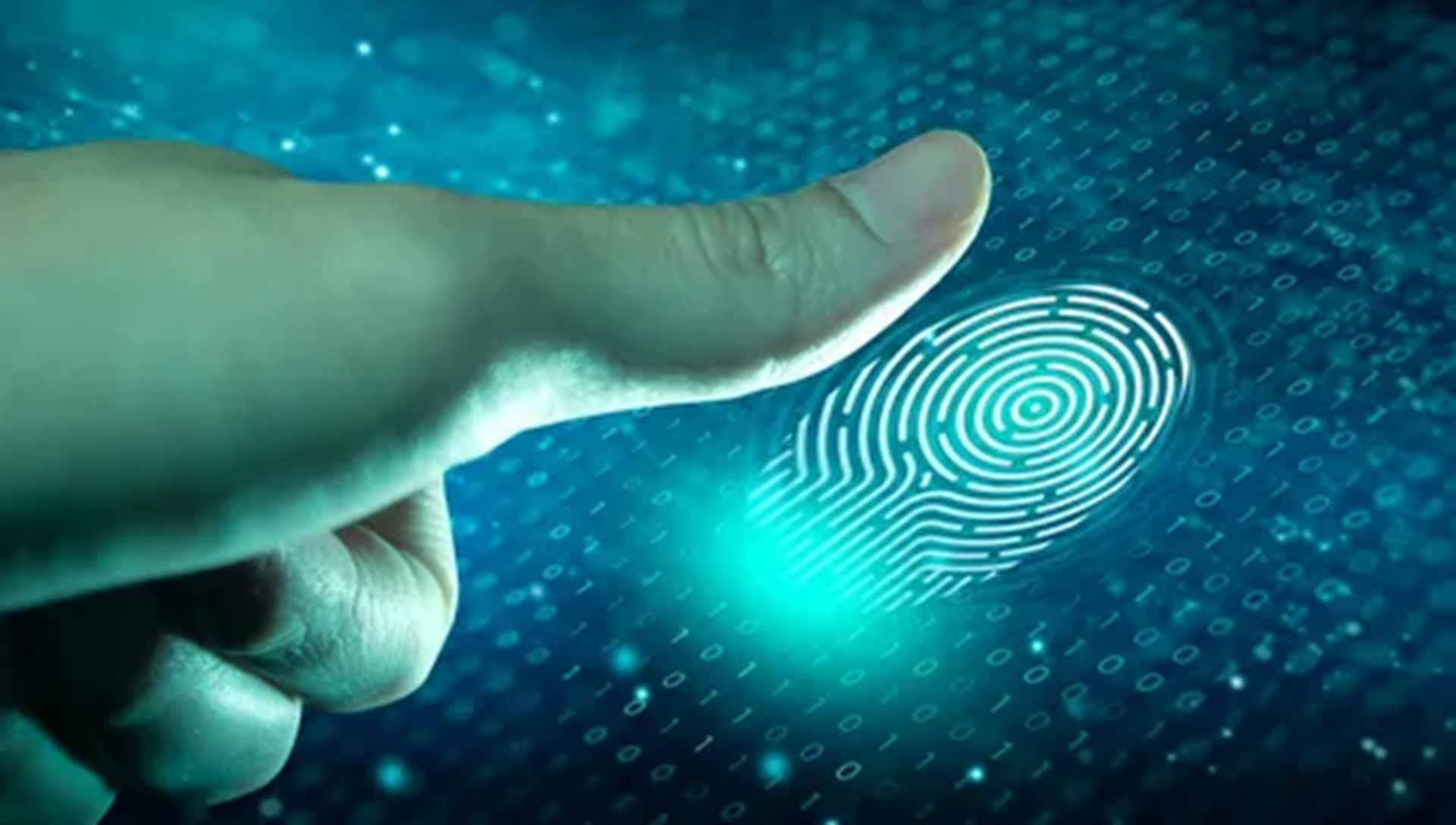 Everything You Need to Know About Fingerprinting in California