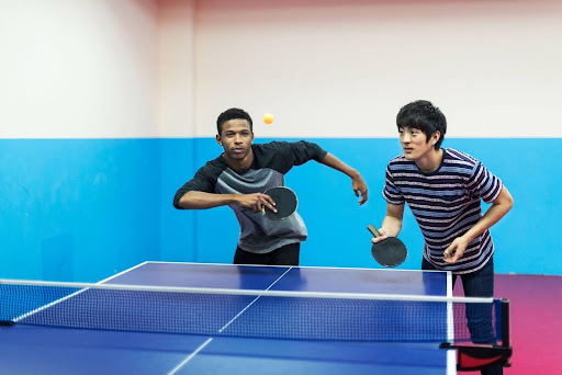 Premium table tennis table: What should you know before you invest?