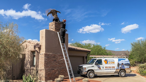 How to Prevent Animals from Entering Chimneys Tucson Homeowners?