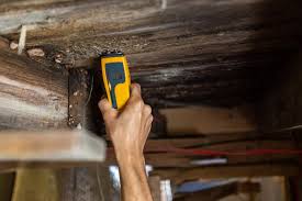 wood destroying