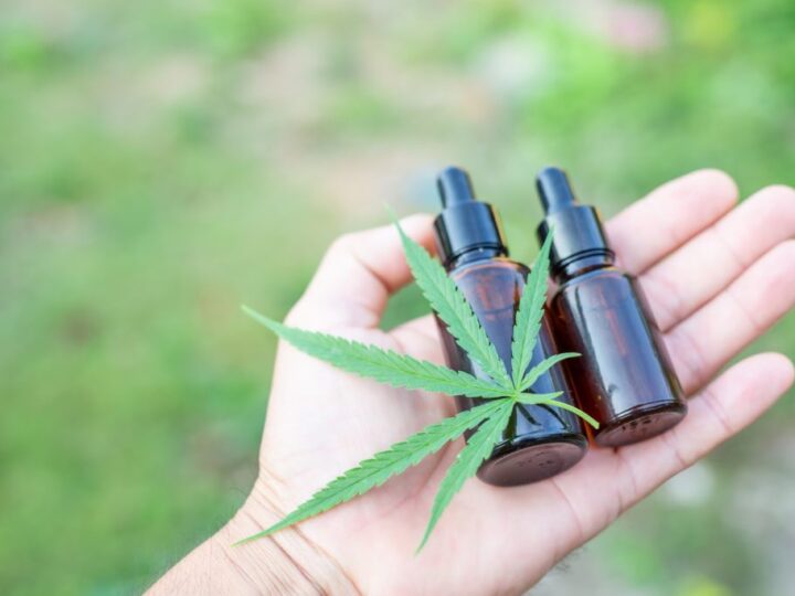 What Should Seniors Know Before Starting With CBD Use?