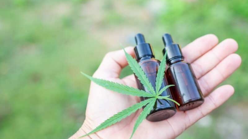 What Should Seniors Know Before Starting With CBD Use?