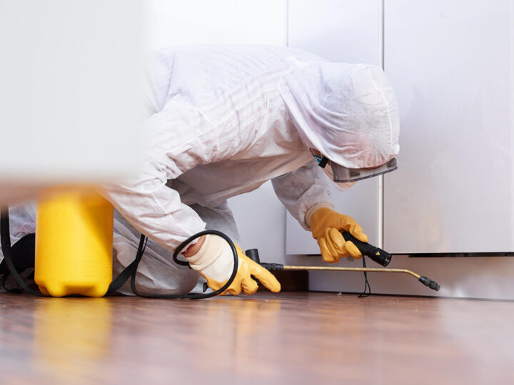 Commercial Pest Control Cleveland