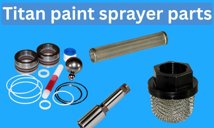 Why A Titan Spray Gun Seal Kit Matters Most