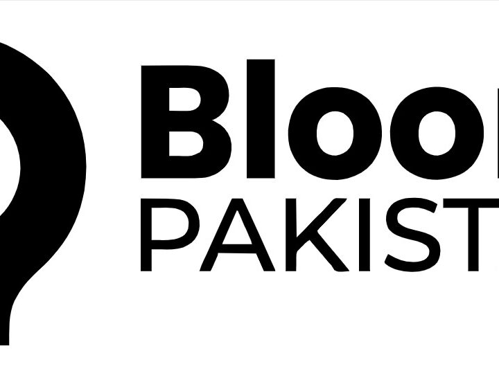 Web News Portals, Bloom Pakistane: The Rise of Digital Journalism in Pakistan