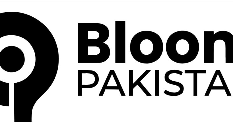 Web News Portals, Bloom Pakistane: The Rise of Digital Journalism in Pakistan
