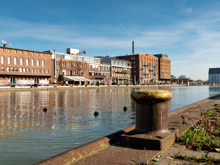 The Role of a Property Investment Adviser  in Smart Property Investing