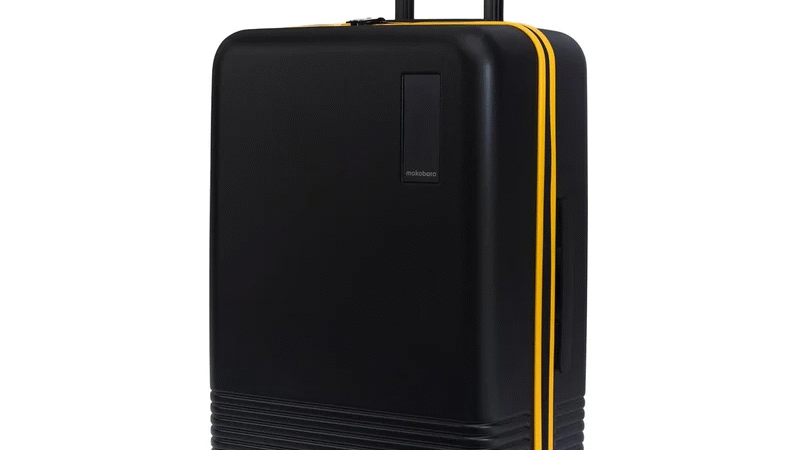 Top Check In Luggage to Buy for Stylish Travel